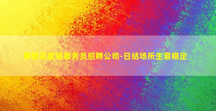 攀枝花夜场服务员招聘公司-日结场所生意稳定